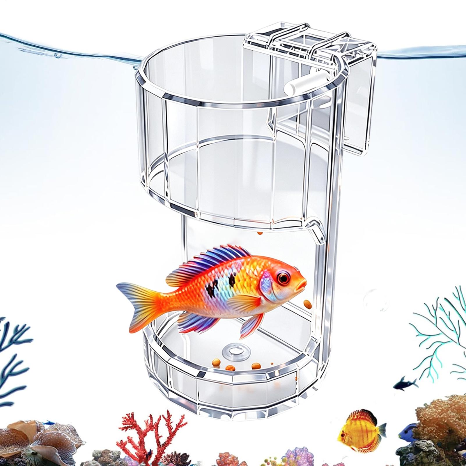 Food Storage In Room - Transparente Futterbox für Aquarien – Fischfutterbehälter