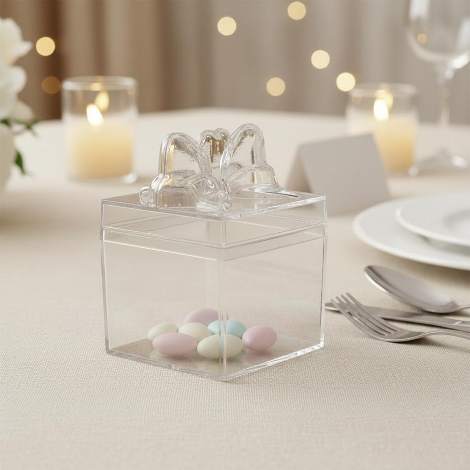 Food Storage Box - Transparente Plastik-Süßigkeitenbox mit Band Mehrzweck Durchsichtige