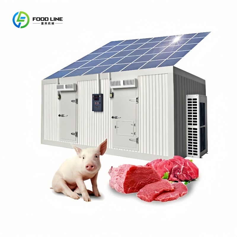 Food Storage In Room - Kommerzieller 20-Fuß-Solar-Gefriercontainer: Kühlraumsystem mit Solar-Kühleinheit für