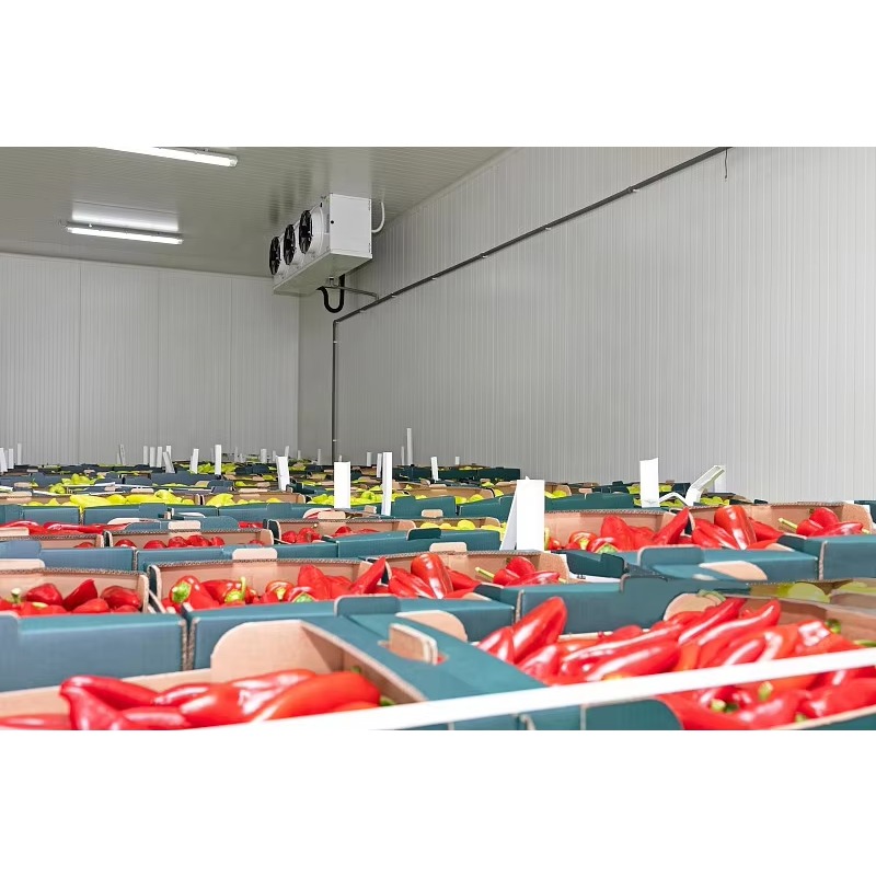 Kundenspezifischer Kühlraum, S – Food Storage Keep Hot Bewertung und Preis