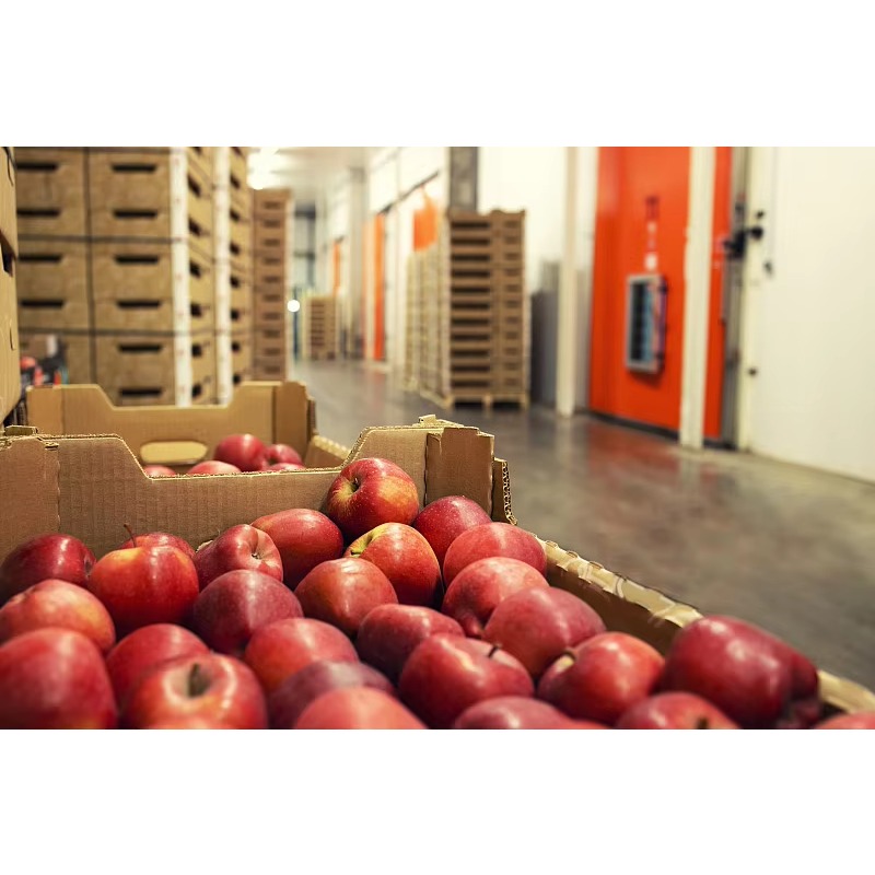 Kundenspezifischer Kühlraum, S – Food Storage Keep Hot Bewertung und Preis