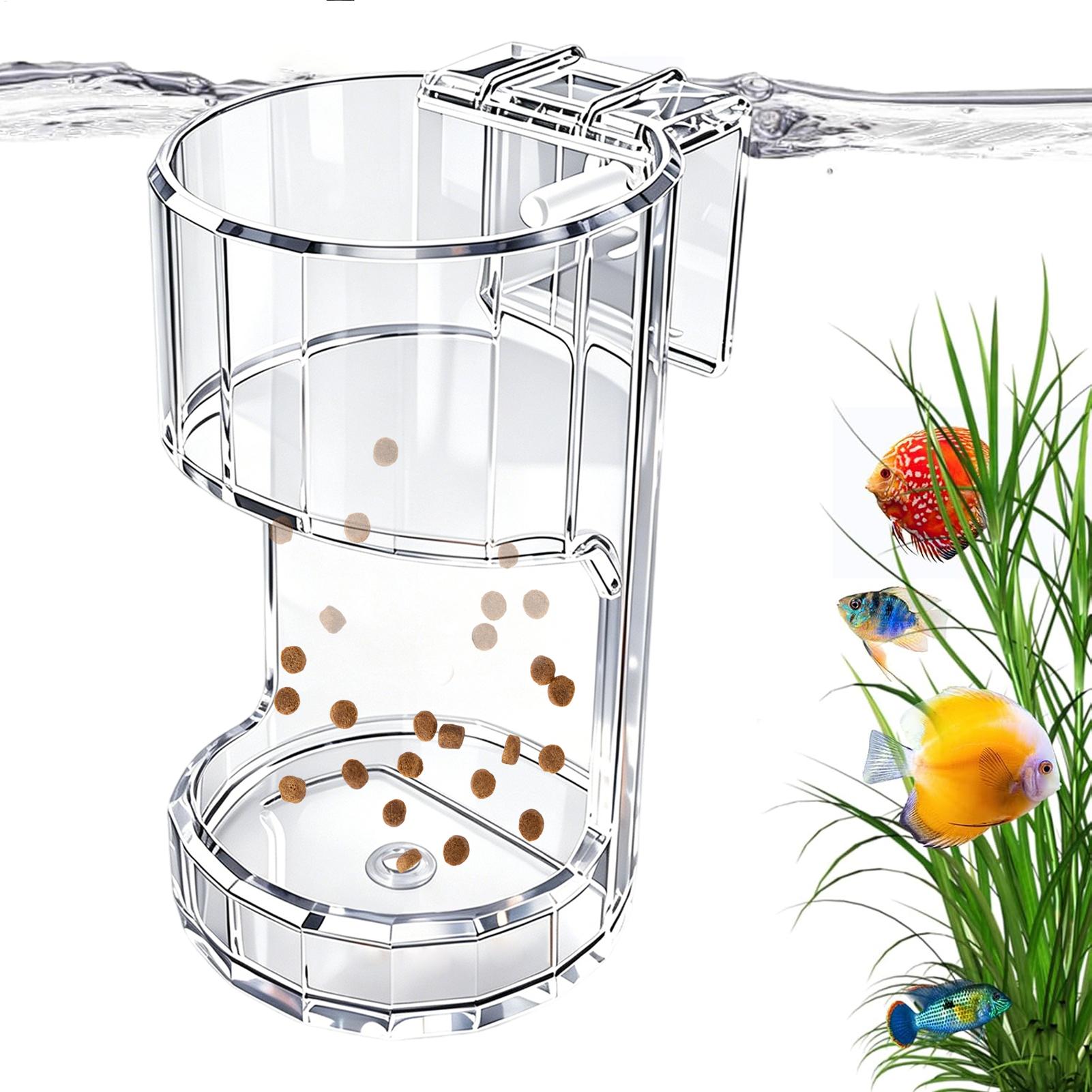 Transparente Futterbox für Aqu – Food Storage In Room Bewertung und Preis
