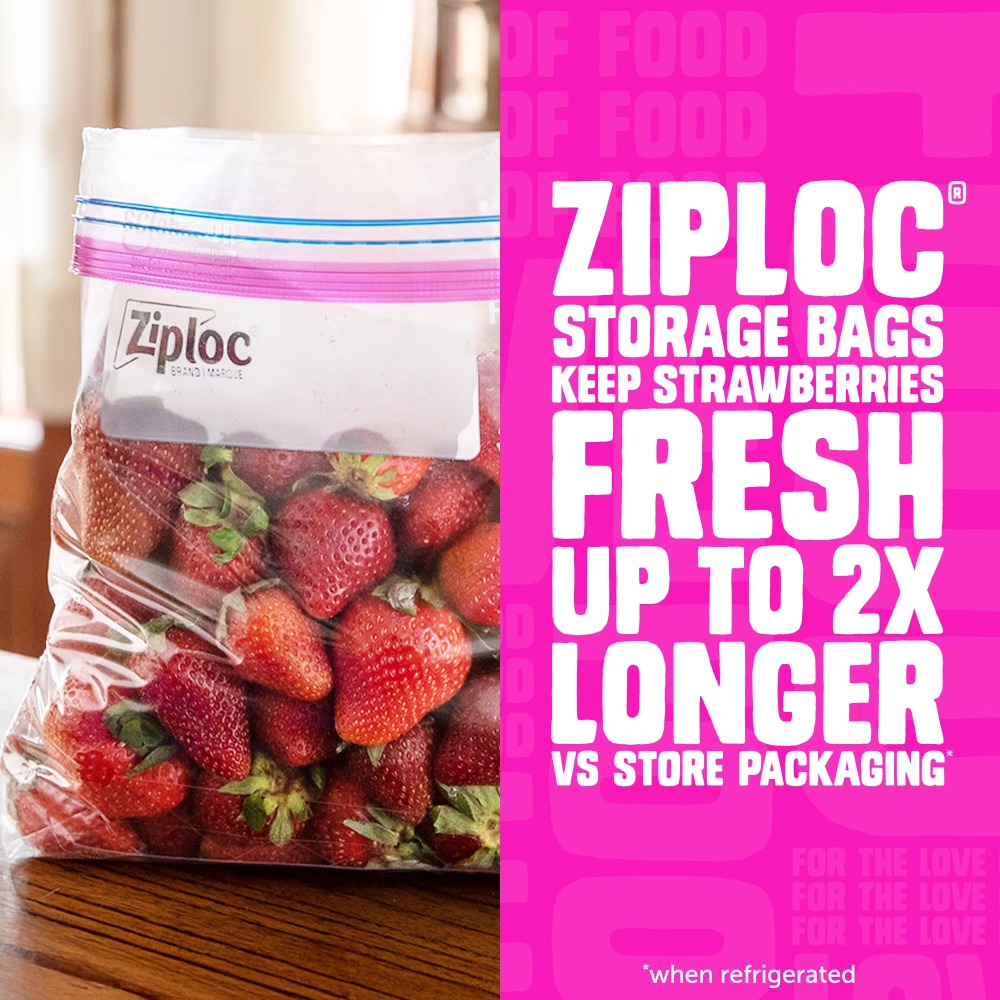 Ziploc Marken-Lebensmittelaufb – Food Storage Technology Bewertung und Preis
