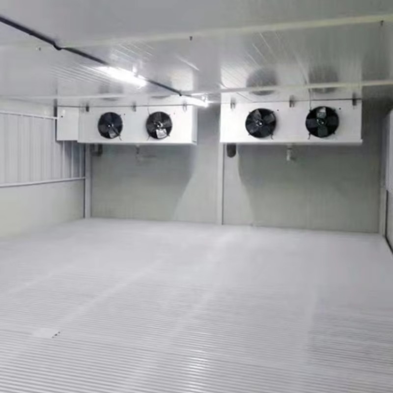 Gewerblicher Kühlraum mit Schn – Food Storage Technology Bewertung und Preis