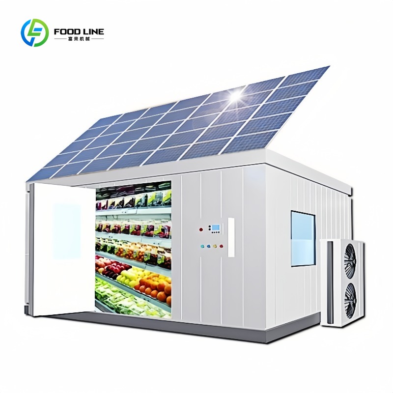 Kommerzieller 20-Fuß-Solar-Gef – Food Storage In Room Bewertung und Preis